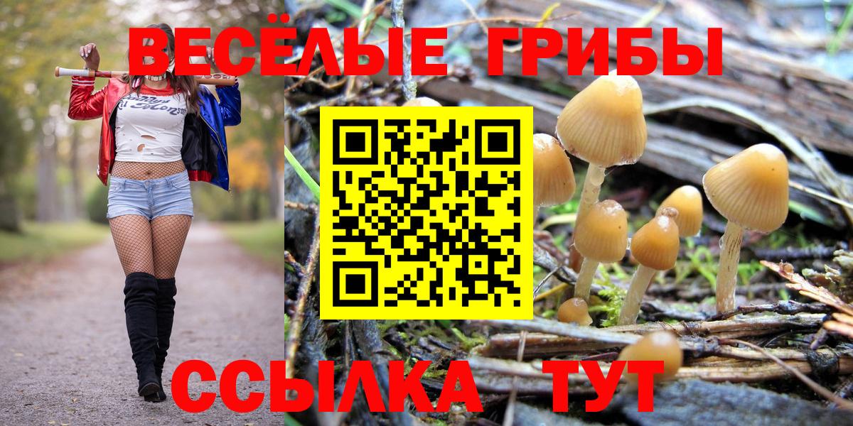 Псилоцибиновые грибы мицелий  Вход с VPN  Чернушка 